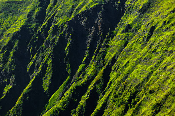 A steep hillside covered with vibrant green grass, illuminated by sunlight creating contrasting shadows and depth, illustrating the beauty of natural terrain.