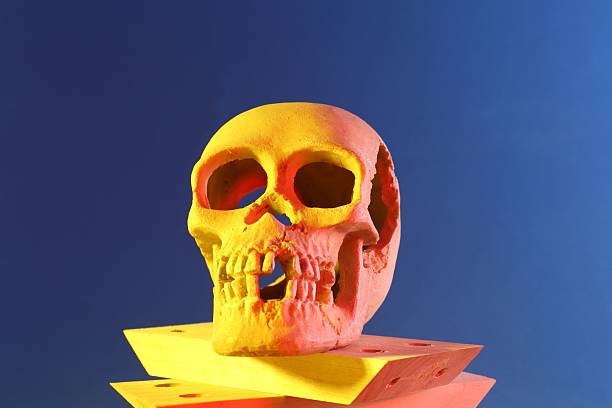 Human skull and wooden blocks on blue background