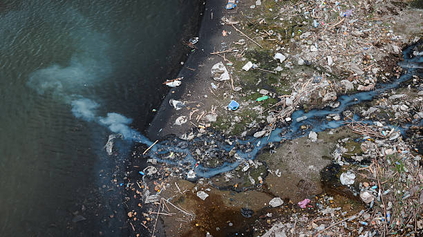 istock Pollution in Baghdad river highlights environmental challenges facing Iraq in 2023 2223505516