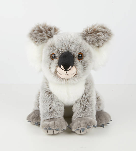 istock koala bear doll sitting on the ground isolated nature background with clipping path 2223510694