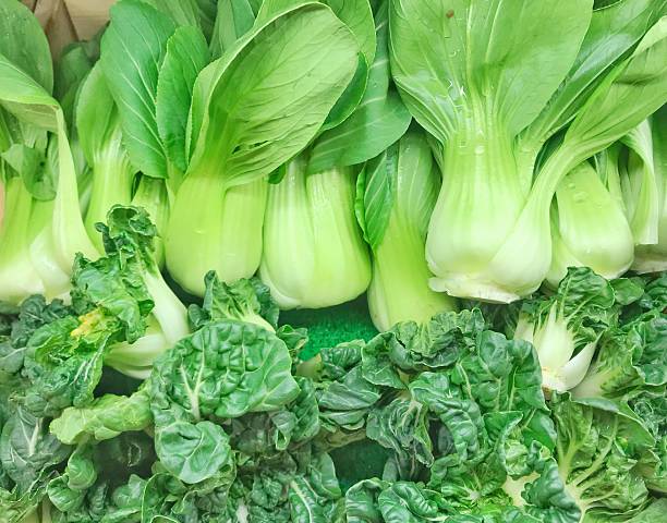 istock Fresh raw green pak choi lettuce. 2223513758