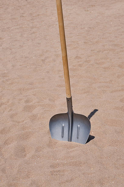 Kids shovel on the beach