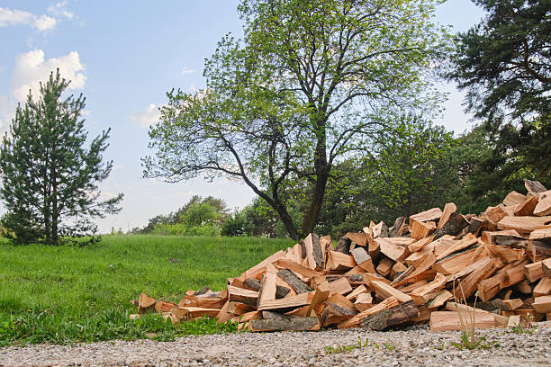 Stack of firewood with trees and meadow. Selective focus