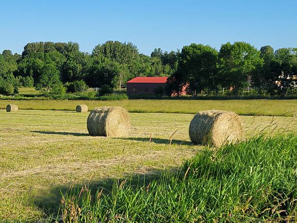 istock Hayfield, Wolfville, Nova Scotia 2223521592