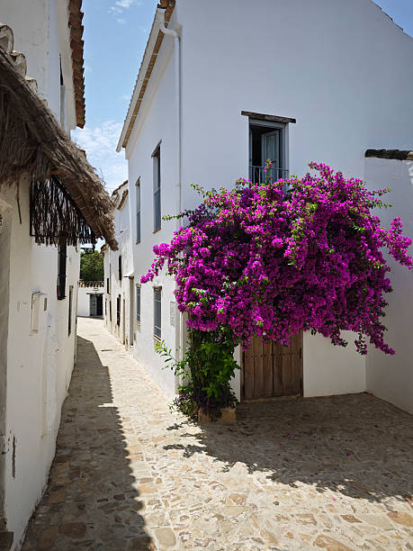 istock White streets with flowerpots 2223524944