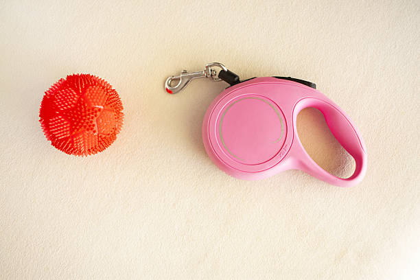 istock Retractable Dog Leash for X-Small Dogs 2223528328