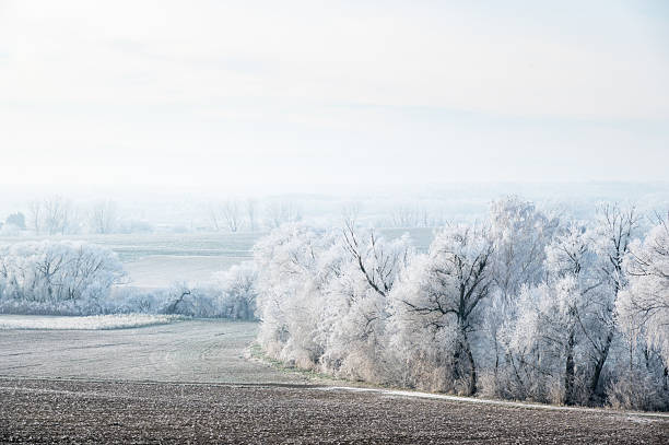 The walk along the river on a winter day