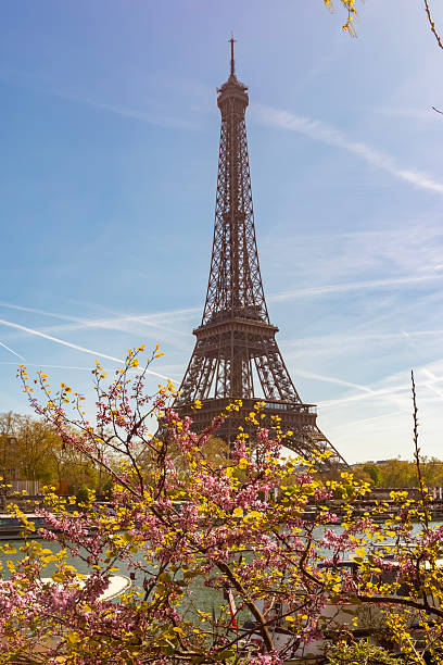 istock Eiffel tower and Seine river in spring, Paris, France 2223534722