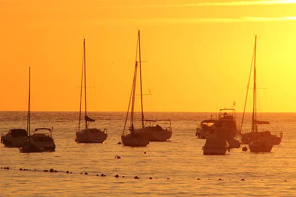 Silhouetted sailboats on a tranquil sea during a vibrant orange sunset, creating a serene and picturesque scene.
