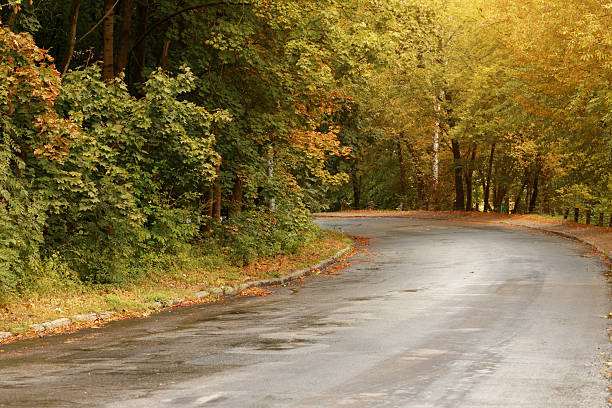 October fall park zone country side environment space asphalt car road picturesque peaceful autumn way