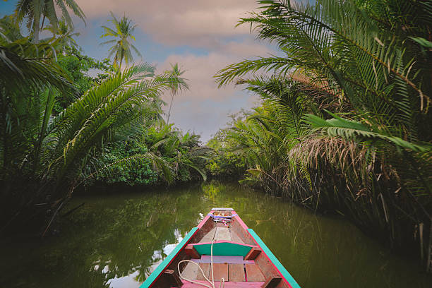 istock View of Nipa palm on river 2223540953