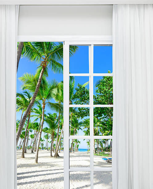 Window with a view of palm trees and a beach. The beach is sandy and the palm trees are green