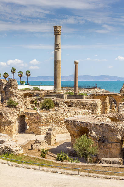 istock Archaeological site of Carthage, Tunisia 2223547565