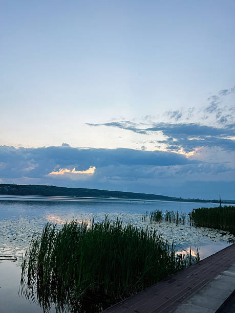 istock Calm lake view at sunset with reeds and cloudy sky 2223550326