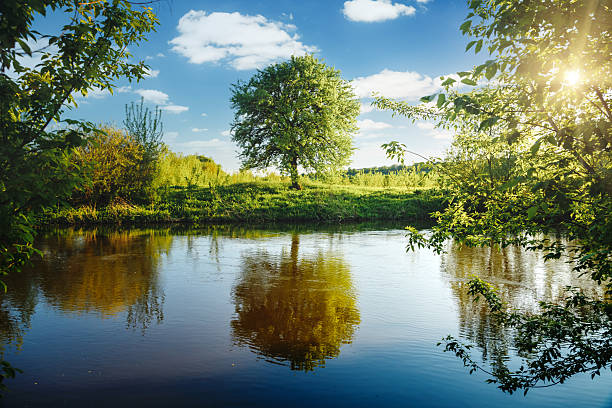 Awesome evening scene in the countryside. Location place river Seret, Ukraine. Picture of a summer view, wallpaper background. Beautiful landscapes, photo of nature. Discover the beauty of earth.