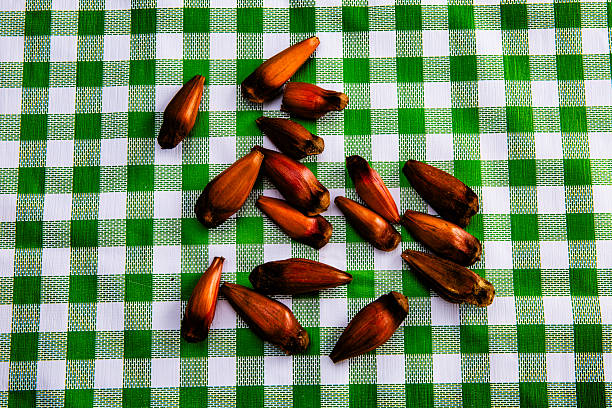 Brazilian pine seeds (pinhão) on traditional checkered tablecloth