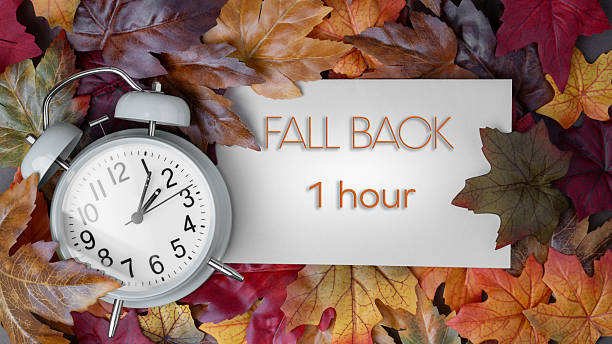 istock Autumn time change concept.  Fall Back 1 Hour message text with alarm clock surrounded by colorful fall foliage. 2223555546