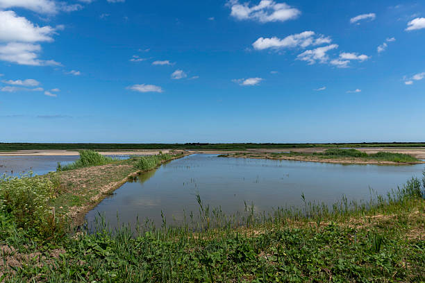 istock The coastal nature reserve at Minsmere in Suffolk, UK 2223556117