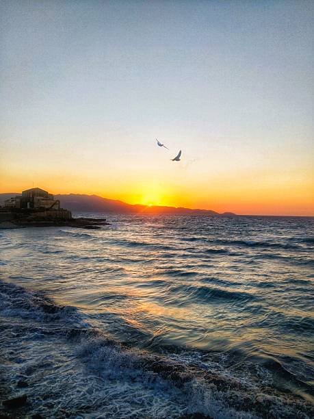 Golden hour view of the sun setting over the Aegean Sea off the coast of Crete, Greece. Gentle waves reflect the warm hues of the sky, while birds soar in the peaceful evening light. A tranquil seascape capturing the essence of Mediterranean serenity.