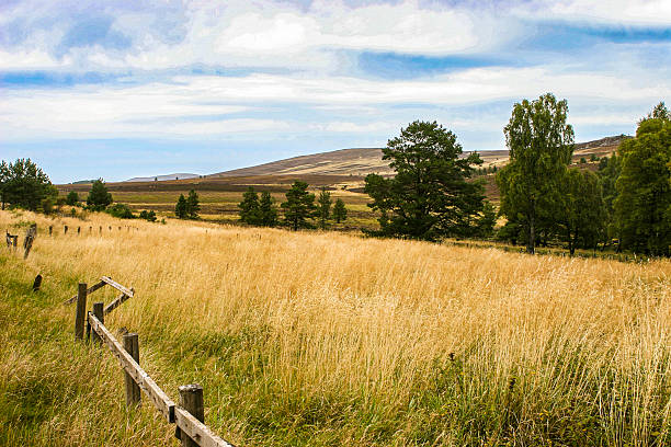 istock Scottish Highlands Countryside with Rolling Hills and Rustic Fence 2223559600