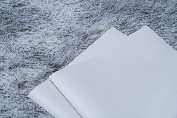 istock Two newspaper mockups with blank folded paper lying on a fluffy gray carpet. Layout for showcasing print layout and editorial design. 2223560551