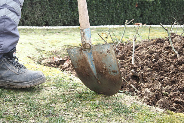 Hands working the soil with a shovel in a garden area