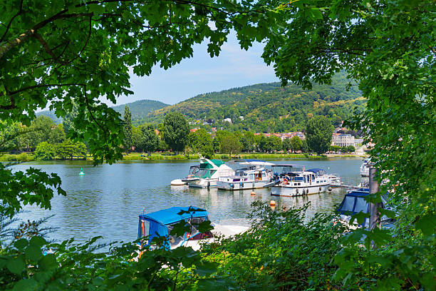 Heidelberg, Germany - June 21, 2025: Scenic view of boats docked on the Neckar River, framed by lush green leaves in Heidelberg, Germany, captured on a sunny day.