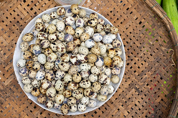 A basket filled with fresh speckled quail eggs on display at an outdoor market in Southeast Asia, taken during a 2018 journey across Laos, Cambodia, Thailand, and Vietnam. The image captures the vibrant and traditional local food culture, emphasizing regional culinary ingredients and daily life in the marketplace.