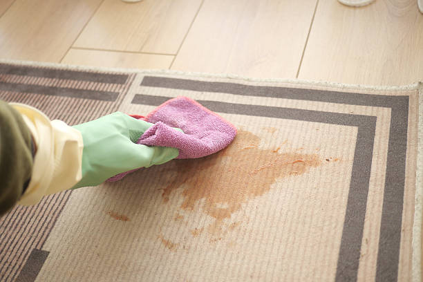istock Cleaning a carpet stain with a cloth and gloved hand at home 2223570529