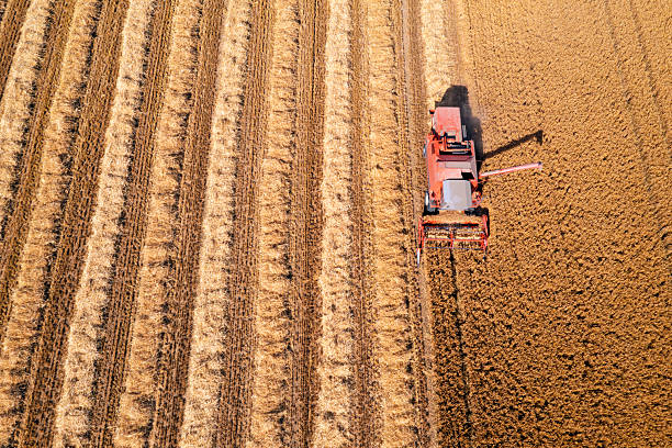 istock Combine harvester in wheat field 2223571429
