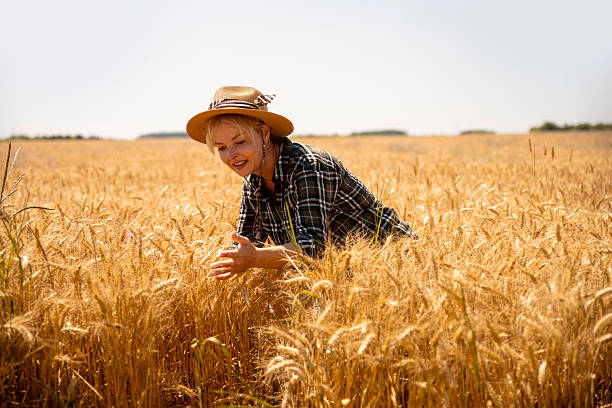 istock Farm woman in wheat field 2223573444