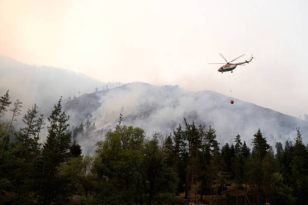 istock Helicopter Drops Water on Wildfire in Mountain Forest 2223573563