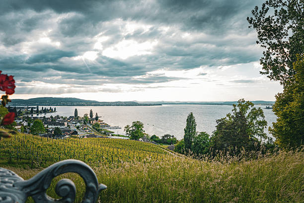 Scenic landscape overlooking Lake Constance and a small village in the Thurgau region of Switzerland. The foreground features lush vineyards, while the background reveals a dramatic cloudy sky with sun rays breaking through. Captured in spring.