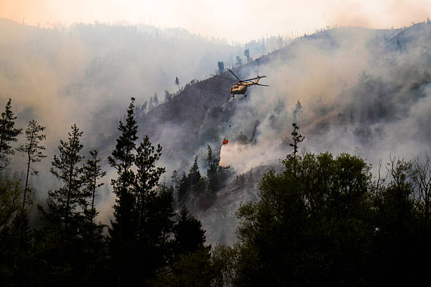istock Helicopter Drops Water on Wildfire in Mountain Forest 2223575311