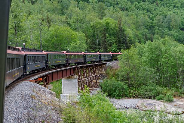 istock Scenic Train Journey Through Lush Forests 2223577160