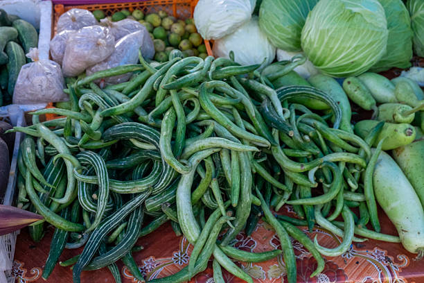 Close-up of uniquely curved cucumbers (also known as snake gourds or twisted cucumbers) displayed at a rural outdoor market in Southeast Asia. Surrounded by green cabbages, gourds, and local produce, this image taken in 2018 reflects traditional agriculture and the rich food culture of Laos, Cambodia, Thailand, and Vietnam. A vibrant glimpse into everyday life and sustainable farming practices in the region.