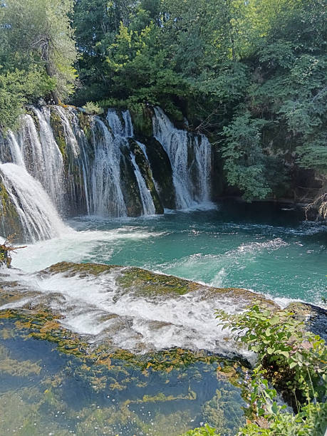istock A cascading waterfall in a rocky forest 2223582968