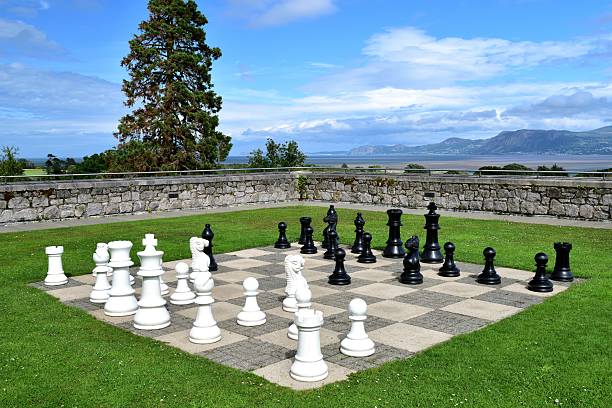 istock Game of chess on teh lawn 2223589058