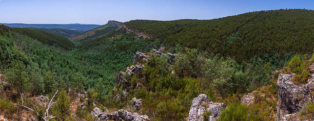istock A sweeping view of a forested valley with rocky outcrops and distant hills, framed by lush greenery 2223589324