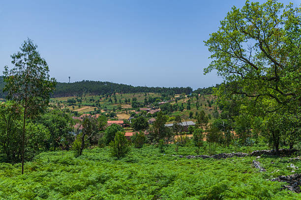 istock A serene rural landscape with scattered houses, lush green fields 2223589372