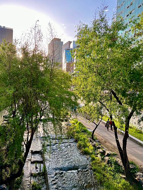 istock Cheonggyecheon Stream with trees, Seoul 2223593189