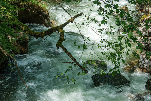 istock Stream flowing beneath overhanging branch. 2223595163