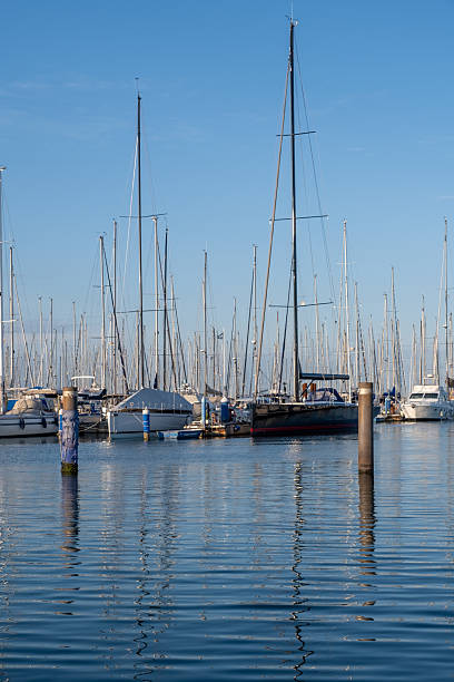 Monaco, Monte-Carlo, reflection of a lot of sailing boats are moored in new Yacht Club at the world championship of J70 class, port Hercules, sunny weather. High quality 4k footage