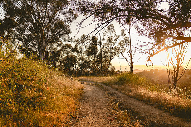 istock Golden hour hiking trail 2223600043