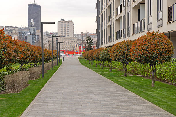 Empty Pedestrian Walkway With New Planted Trees in Belgrade