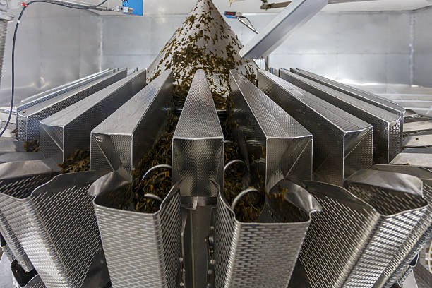 istock Special equipment for seaweed packaging at factory. 2223603548