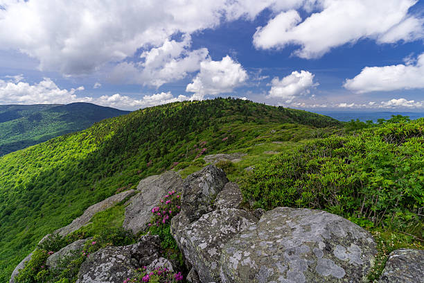 istock Rock outcropping along the Appalachian Trail 2223610171