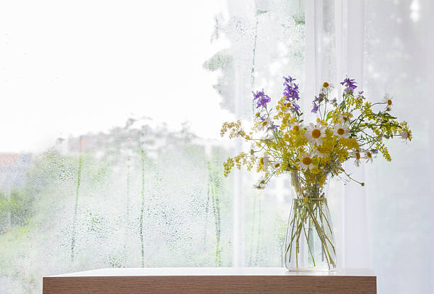 istock wildflowers in glass vase on background rainy window 2223610850
