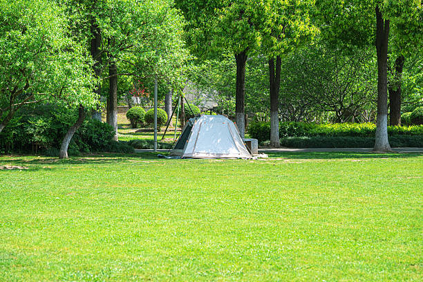 Tent on camping grassland in the park