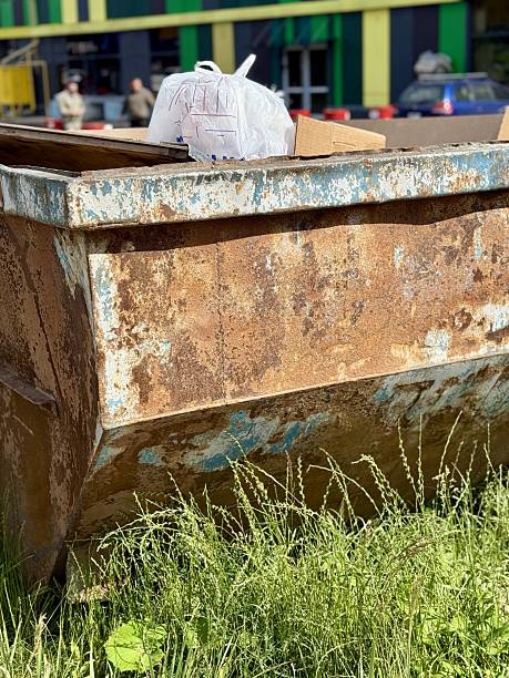 istock An Old and Rusty Dump Container That is Surrounded by Lush, Overgrown Grass and Weeds. A weathered metal dumpster overflowing with various debris, positioned against a backdrop of lush tall grass 2223612102